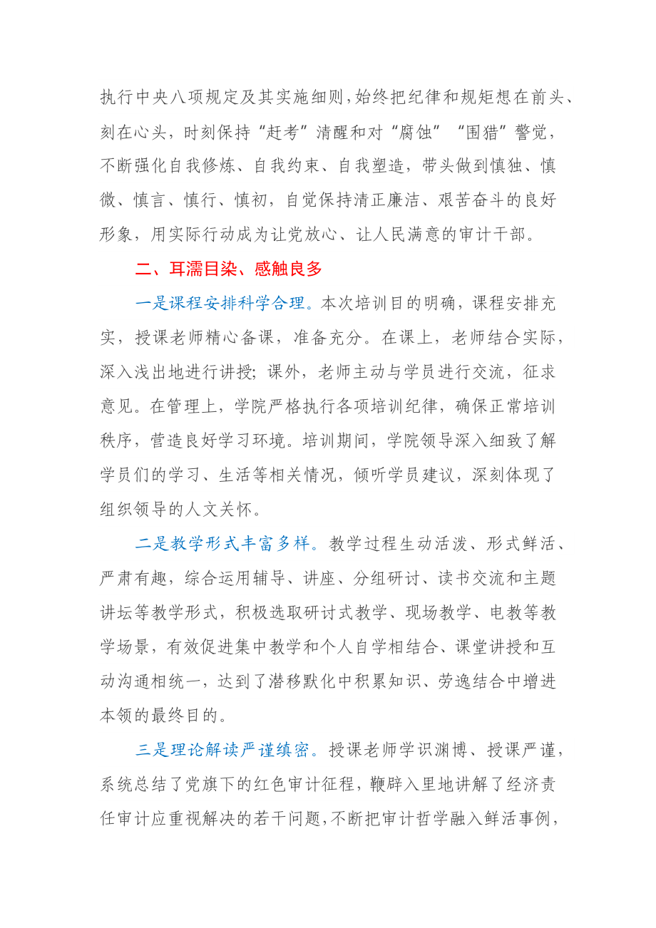 审计人培训心得.docx_第3页