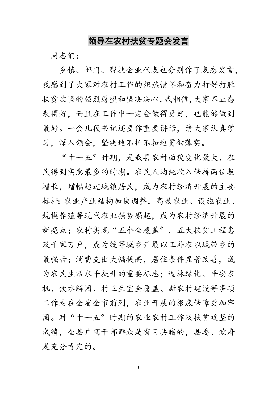 2023年领导在农村扶贫专题会发言范文.doc_第1页