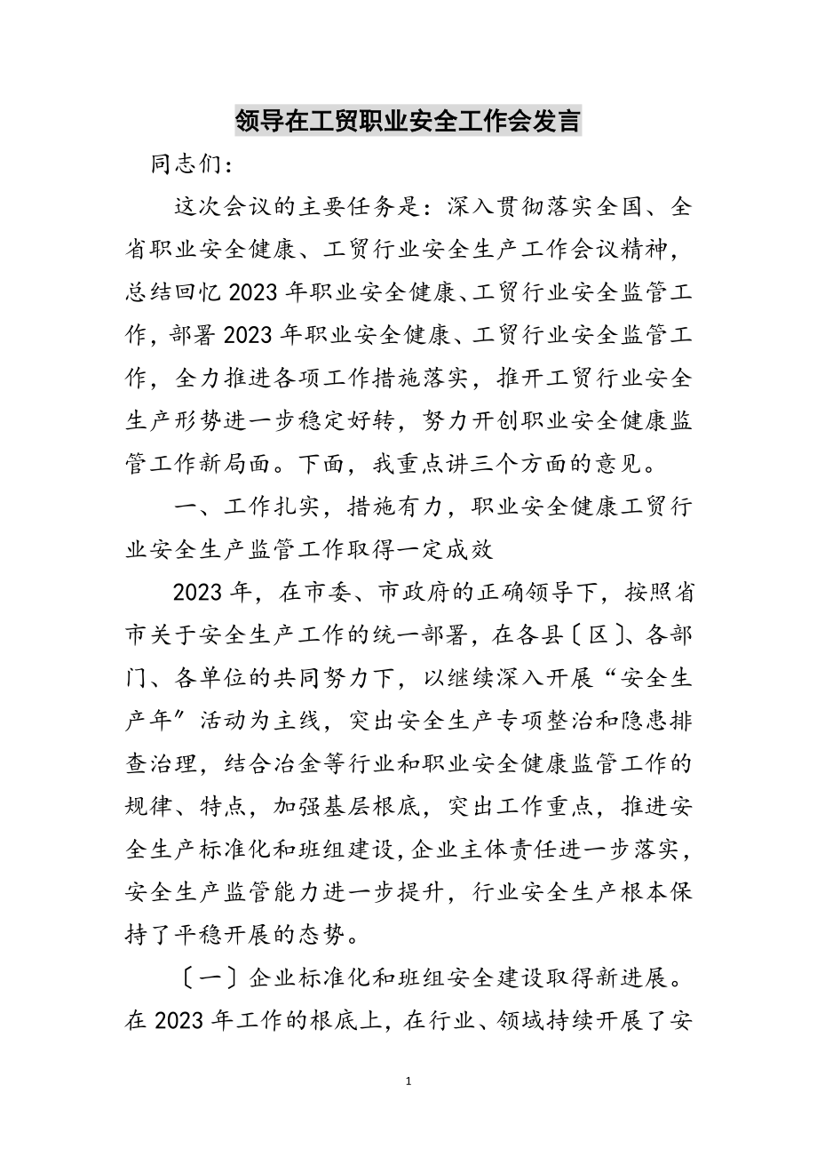 2023年领导在工贸职业安全工作会发言范文.doc_第1页