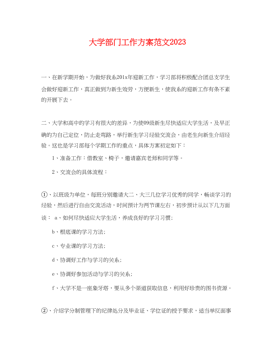 2023年大学部门工作计划.docx_第1页