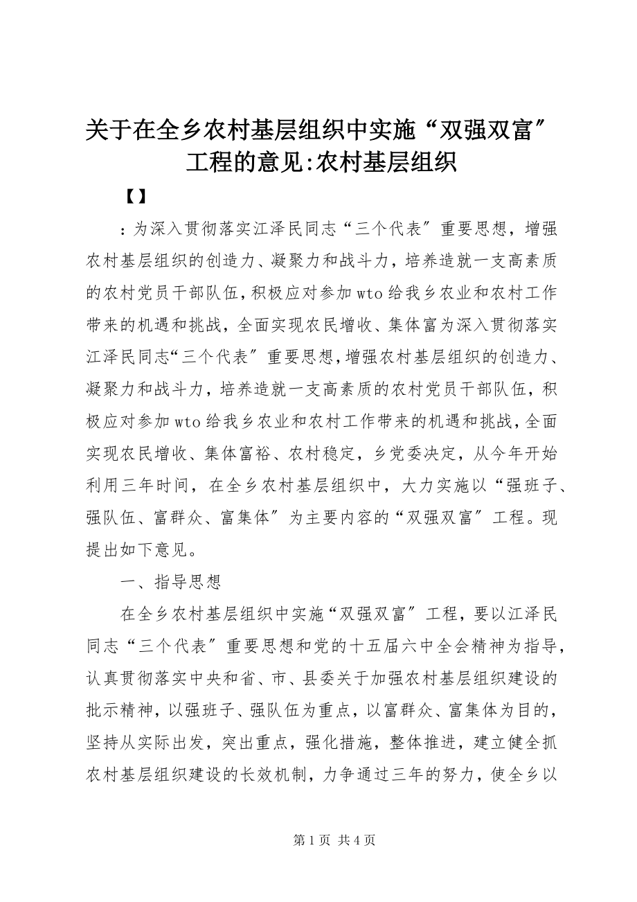 2023年在全乡农村基层组织中实施“双强双富”工程的意见农村基层组织.docx_第1页