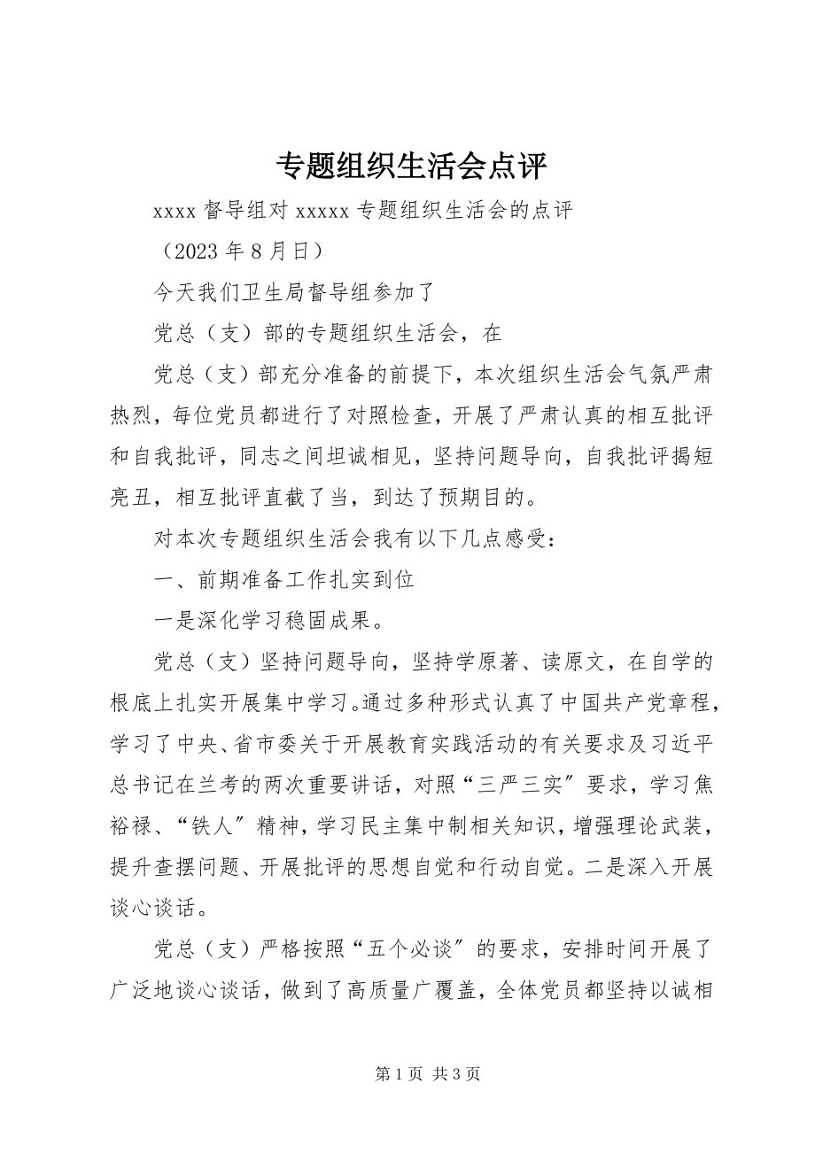 2023年专题组织生活会点评.docx_第1页