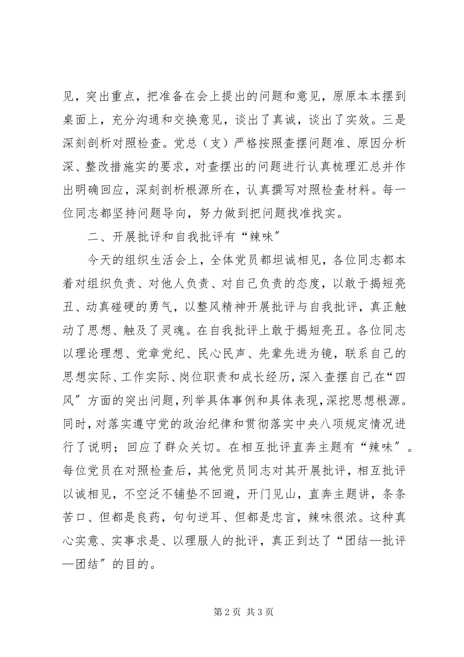 2023年专题组织生活会点评.docx_第2页