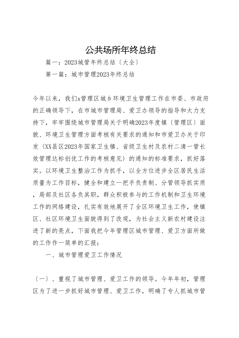 2023年公共场所年终总结新编.doc_第1页