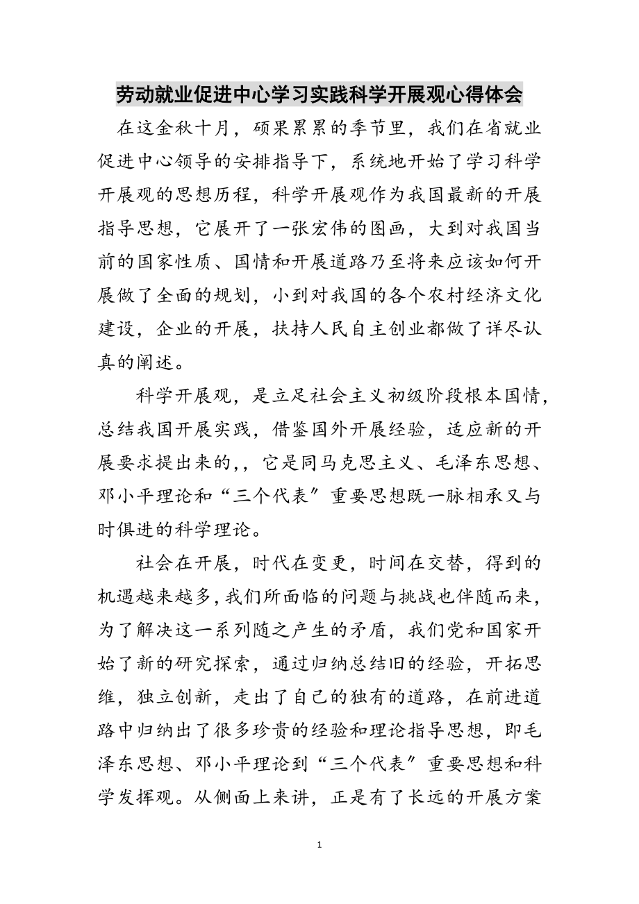 2023年劳动就业促进中心学习实践科学发展观心得体会范文.doc_第1页