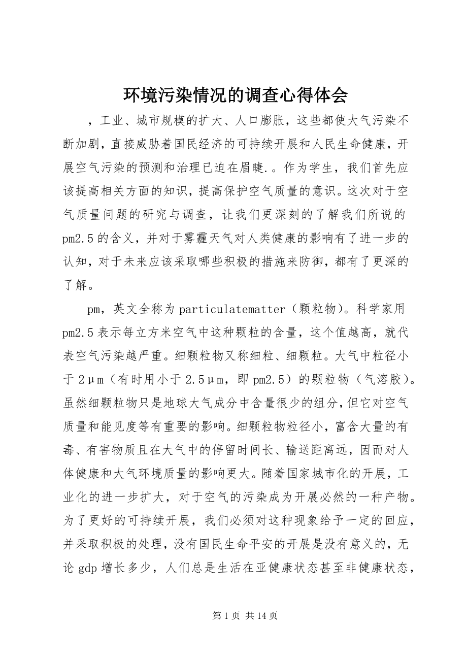 2023年环境污染情况的调查心得体会.docx_第1页