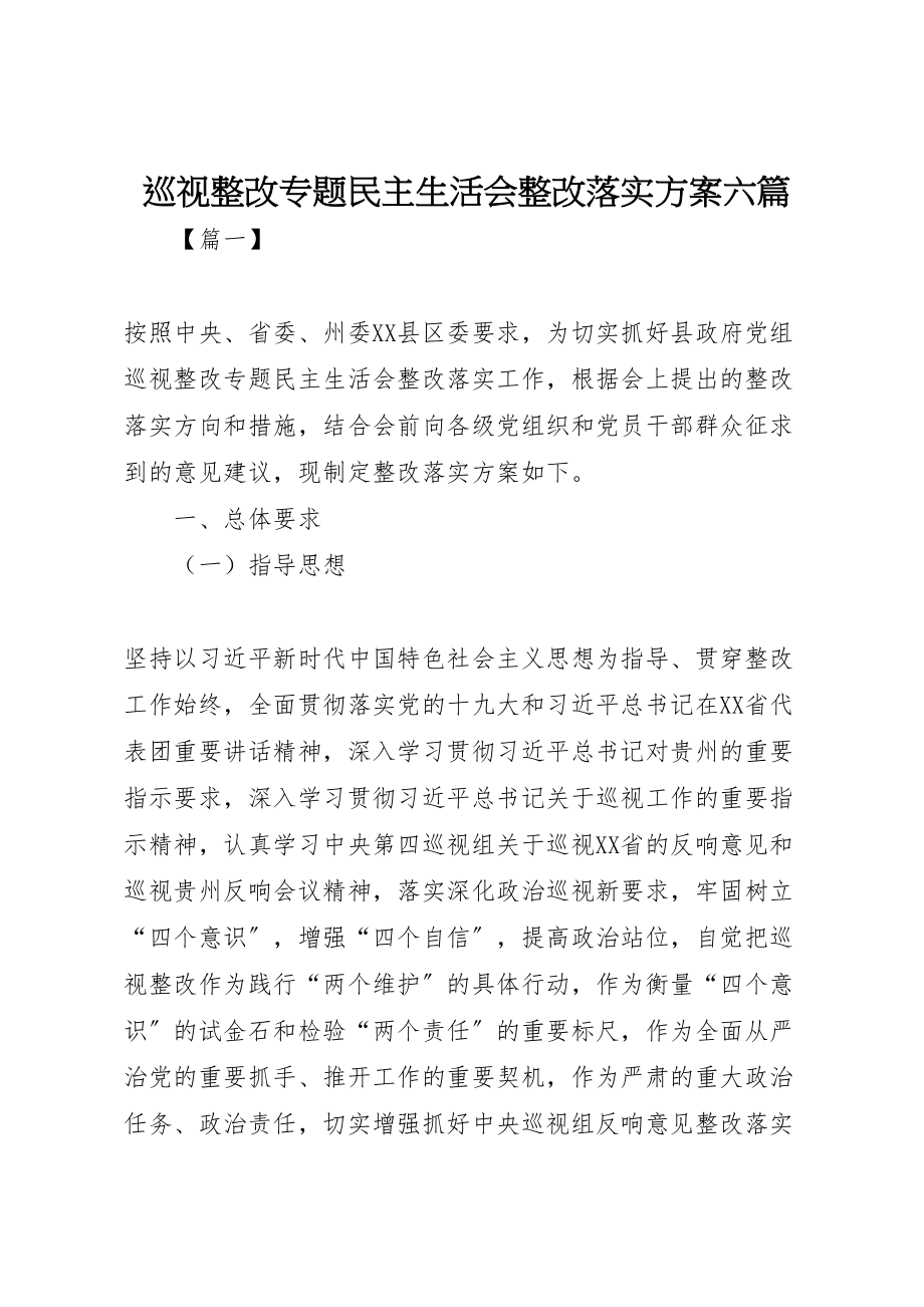 2023年巡视整改专题民主生活会整改落实方案六篇.doc_第1页