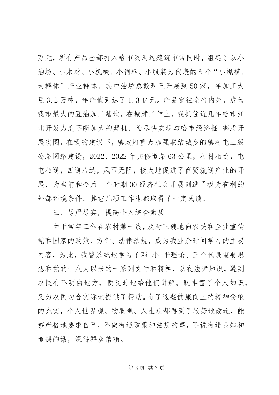 2023年乡镇副镇长个人年终工作总结.docx_第3页