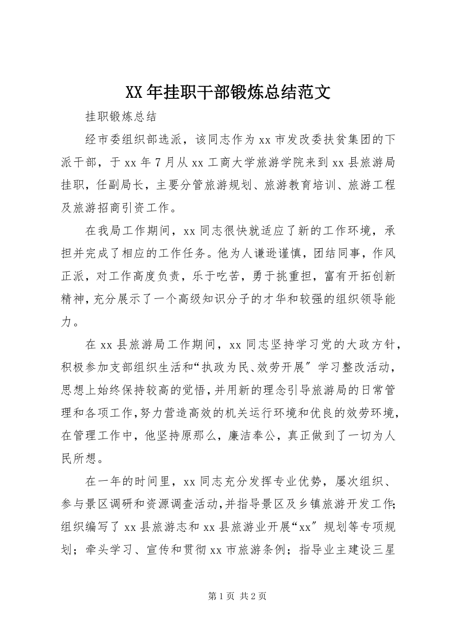 2023年挂职干部锻炼总结.docx_第1页