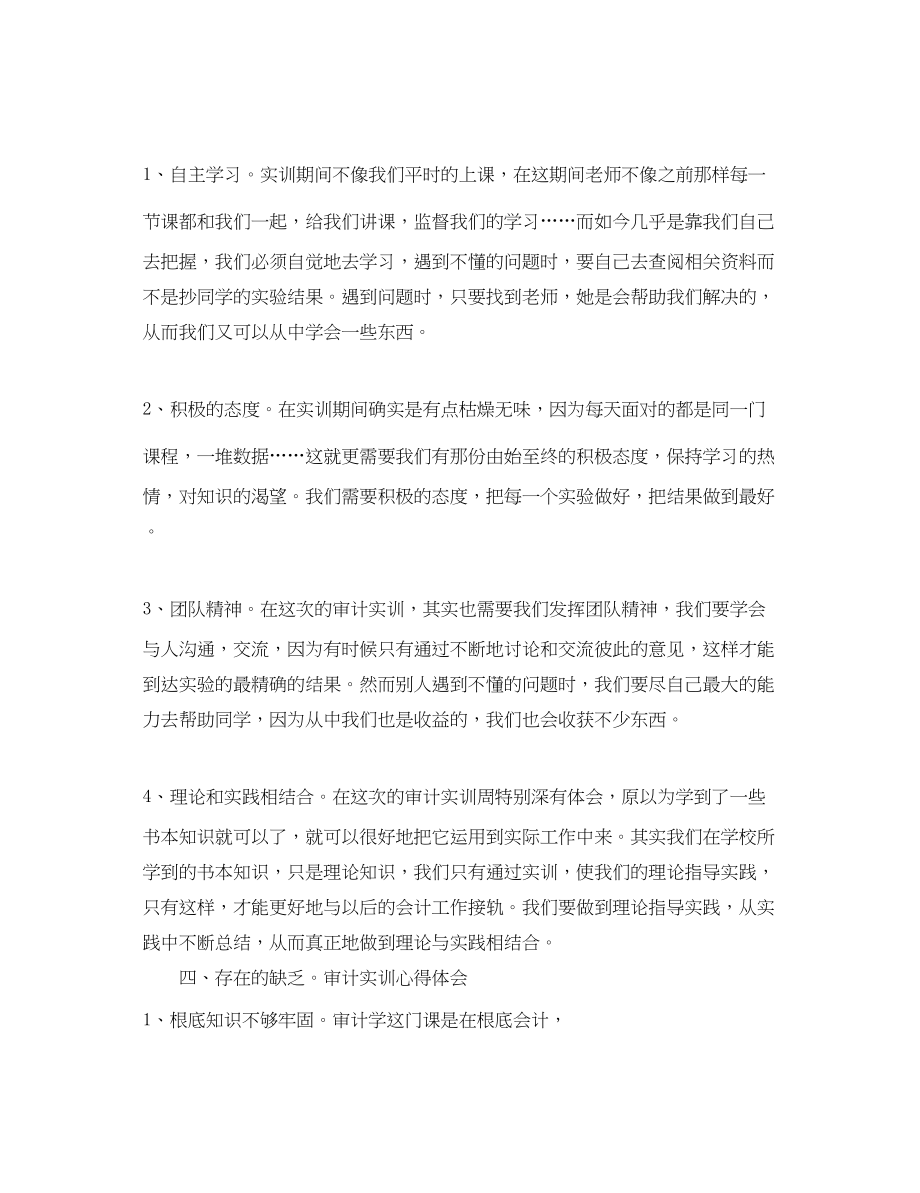 2023年审计综合实训心得体会3篇.docx_第2页