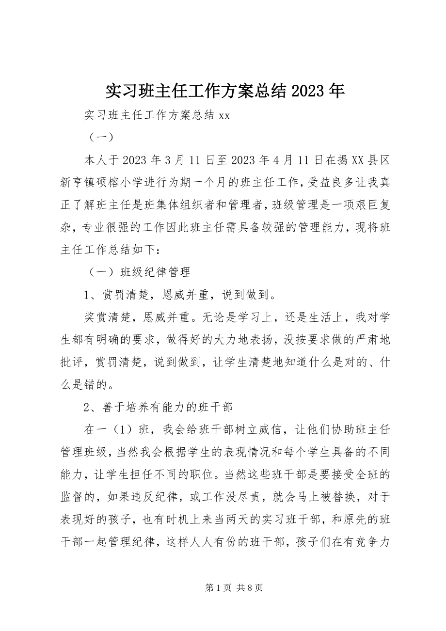 2023年实习班主任工作计划总结.docx_第1页