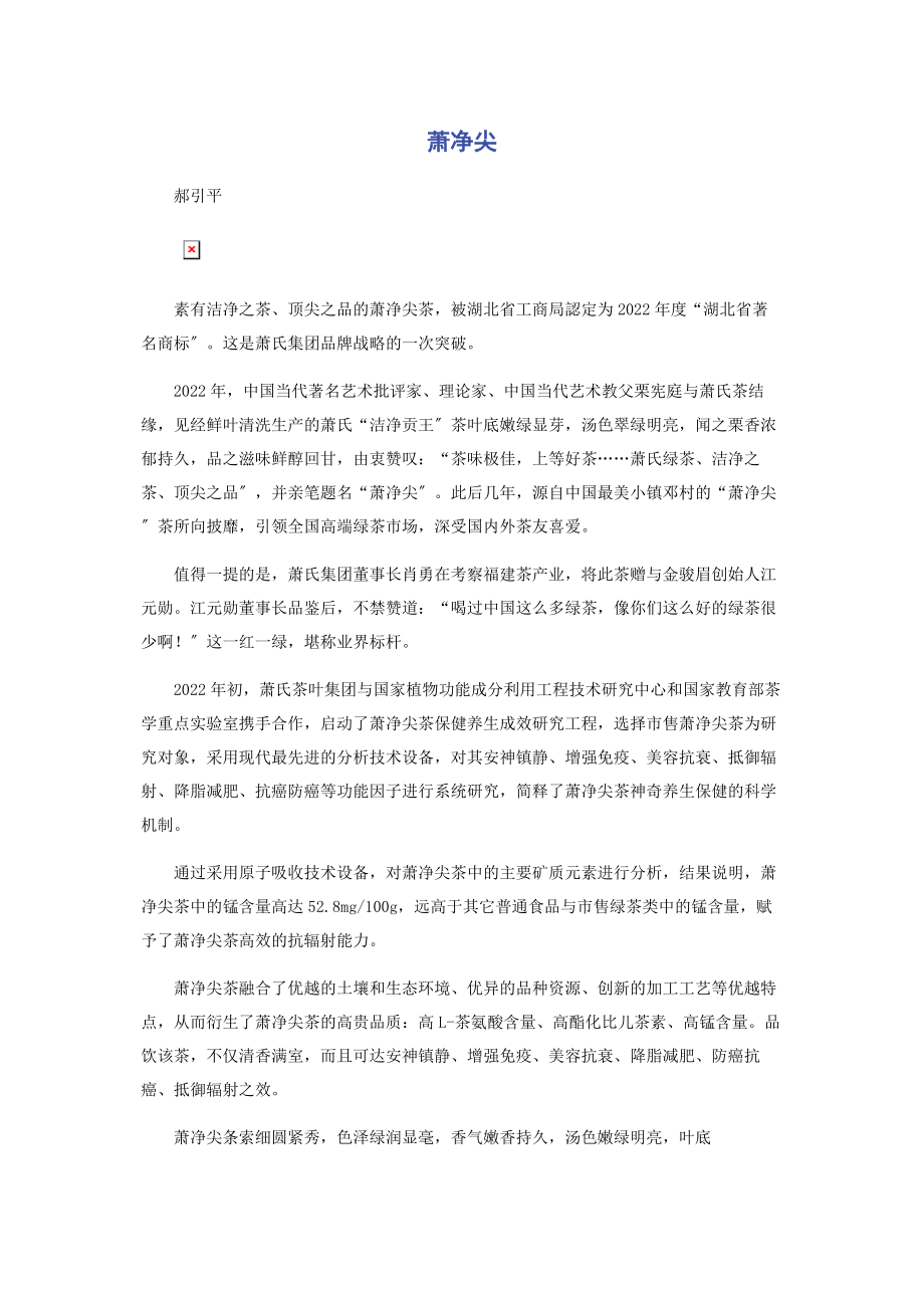 2023年萧净尖.docx_第1页