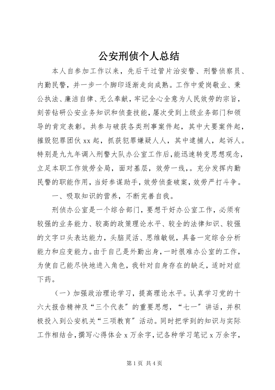 2023年公安刑侦个人总结.docx_第1页