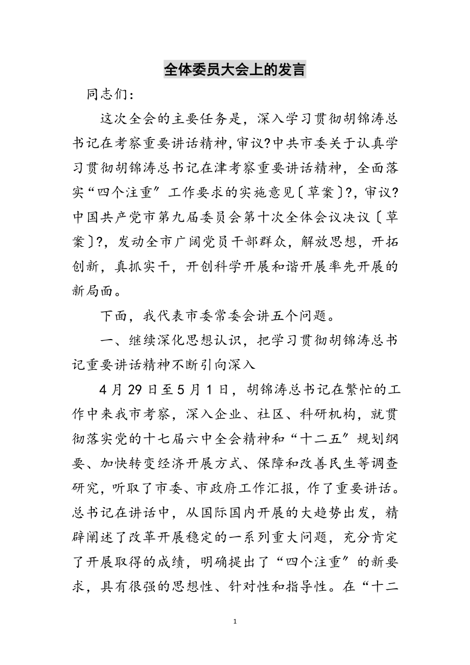 2023年全体委员大会上的发言范文.doc_第1页