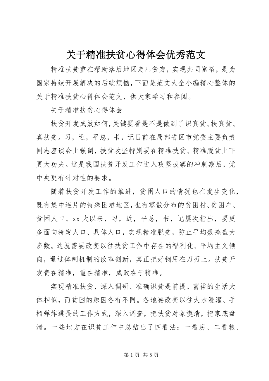 2023年精准扶贫心得体会优秀.docx_第1页