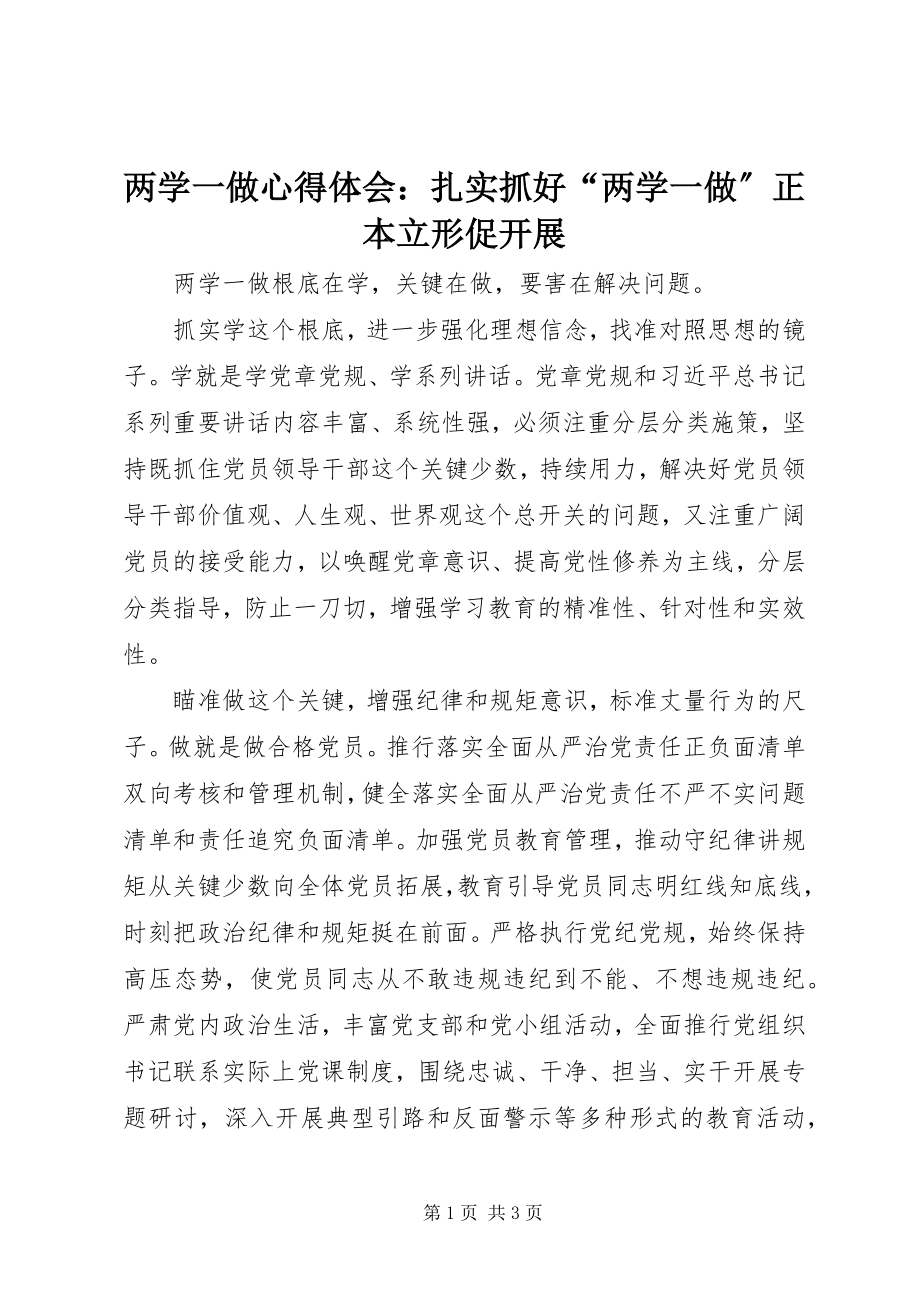 2023年两学一做心得体会扎实抓好“两学一做”正本立形促发展.docx_第1页