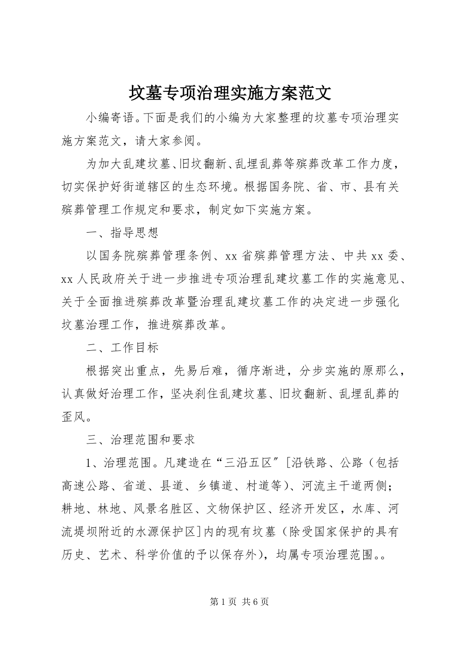 2023年坟墓专项治理实施方案.docx_第1页