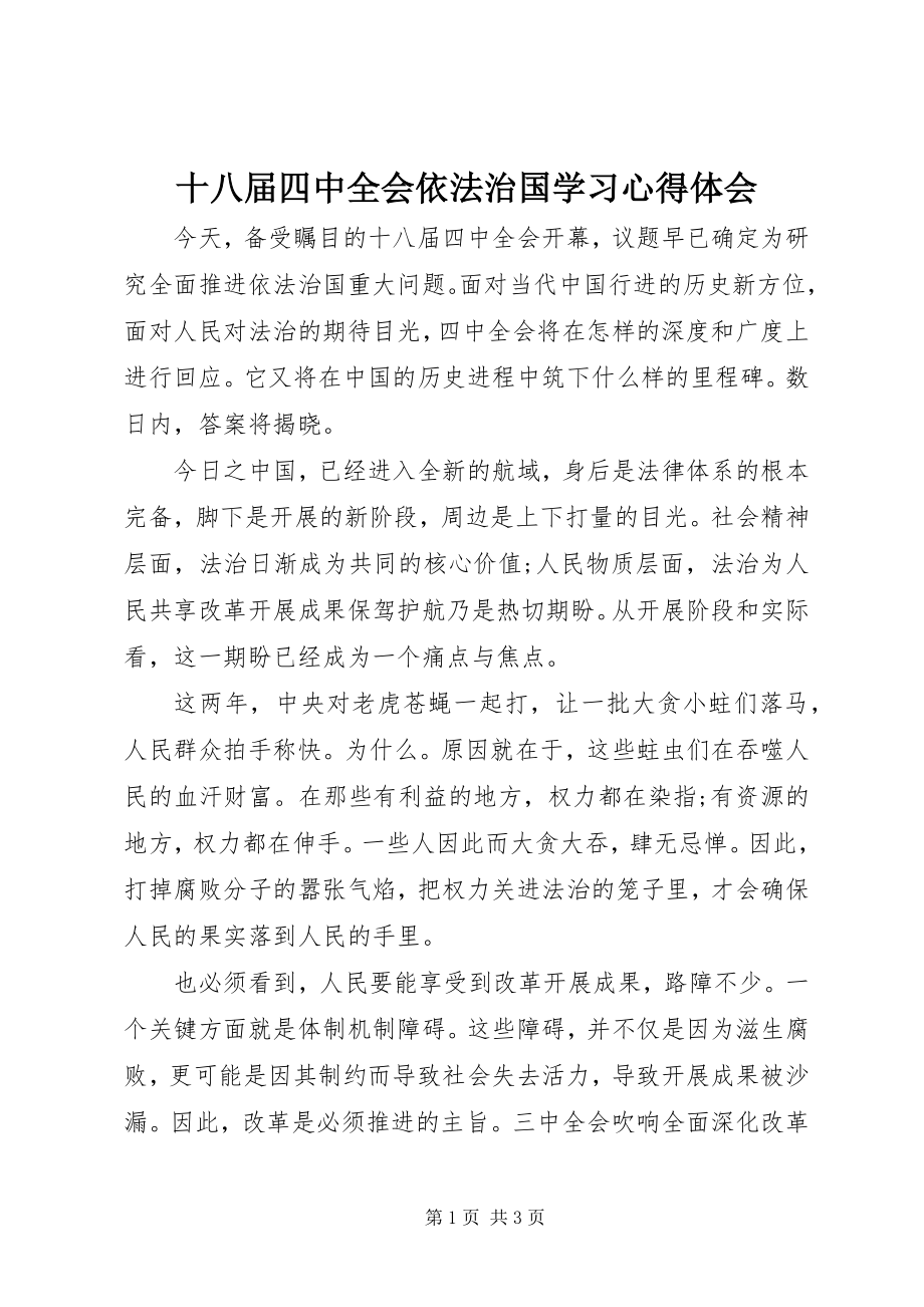 2023年十八届四中全会依法治国学习心得体会.docx_第1页