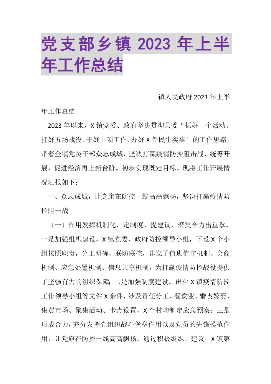 2023年党支部乡镇上半年工作总结.doc_第1页