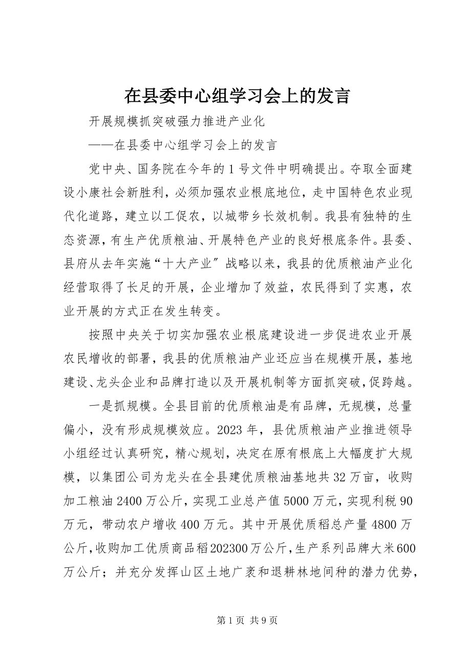 2023年在县委中心组学习会上的发言.docx_第1页