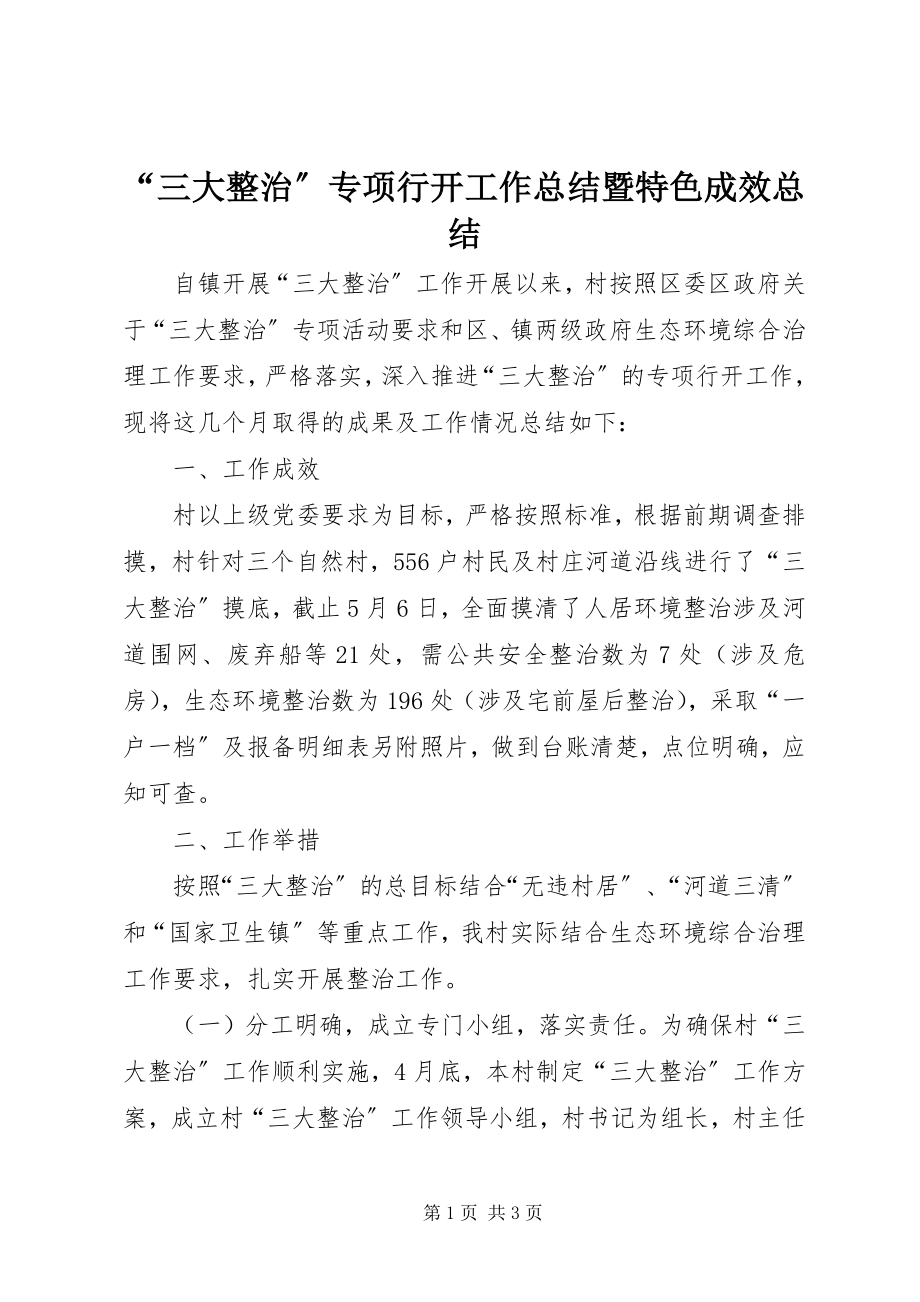 2023年三大整治专项行动工作总结暨特色成效总结.docx_第1页