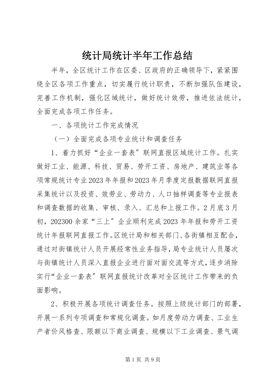 2023年统计局统计半年工作总结.docx_第1页