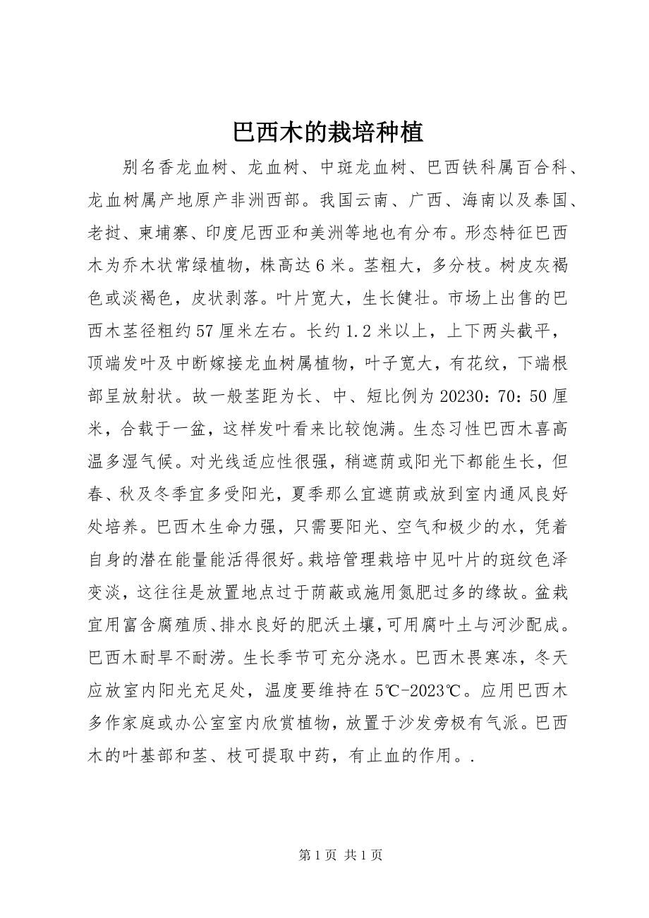 2023年巴西木的栽培种植新编.docx_第1页