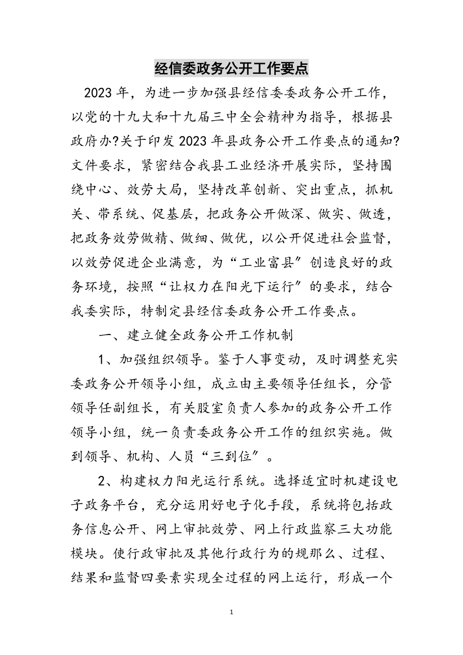 2023年经信委政务公开工作要点范文.doc_第1页