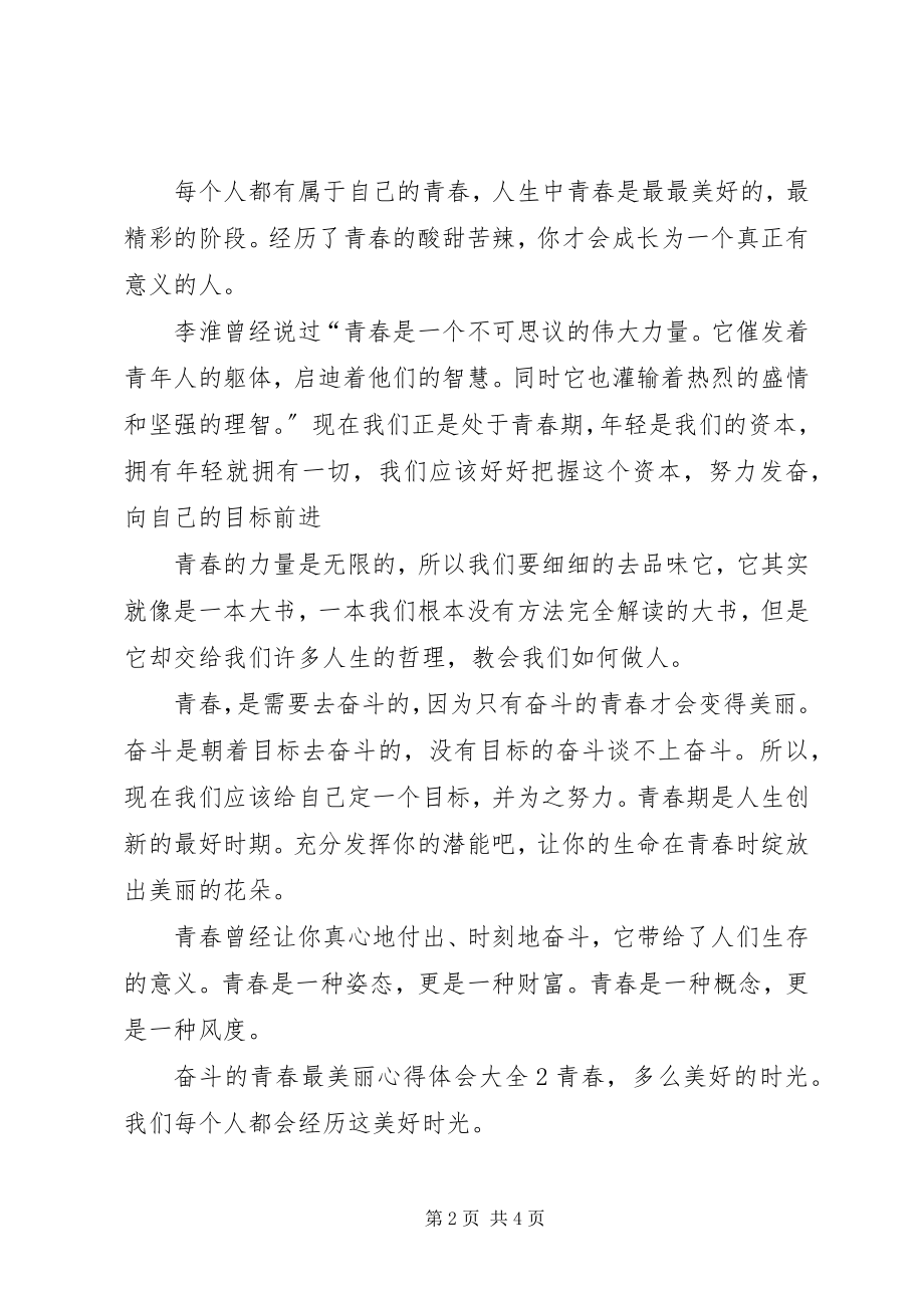 2023年奋斗的青春最美丽心得体会多篇.docx_第2页