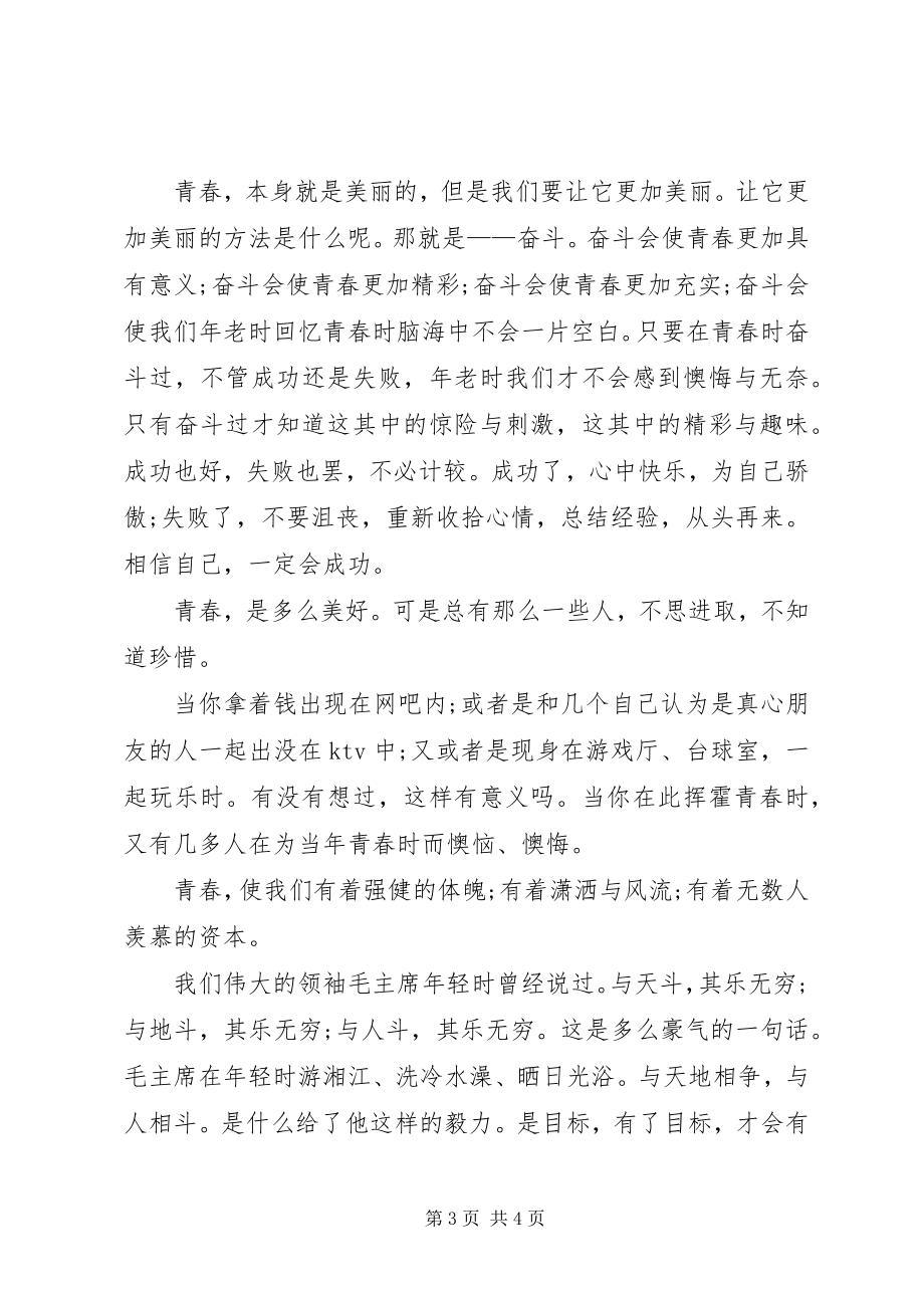 2023年奋斗的青春最美丽心得体会多篇.docx_第3页