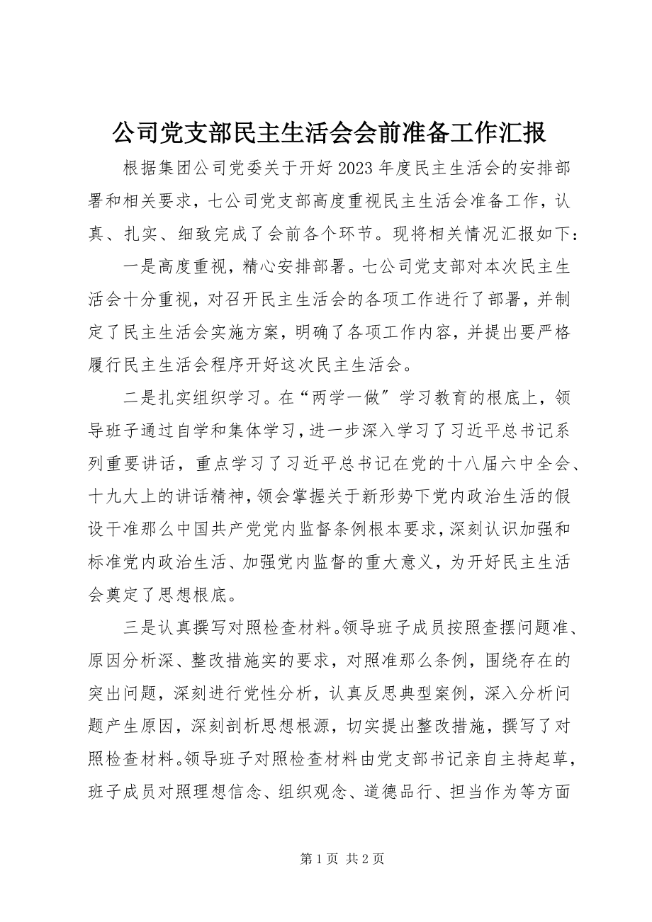 2023年公司党支部民主生活会会前准备工作汇报.docx_第1页