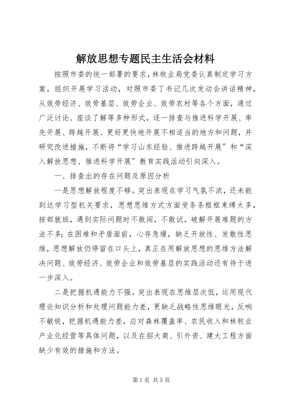 2023年解放思想专题民主生活会材料.docx_第1页