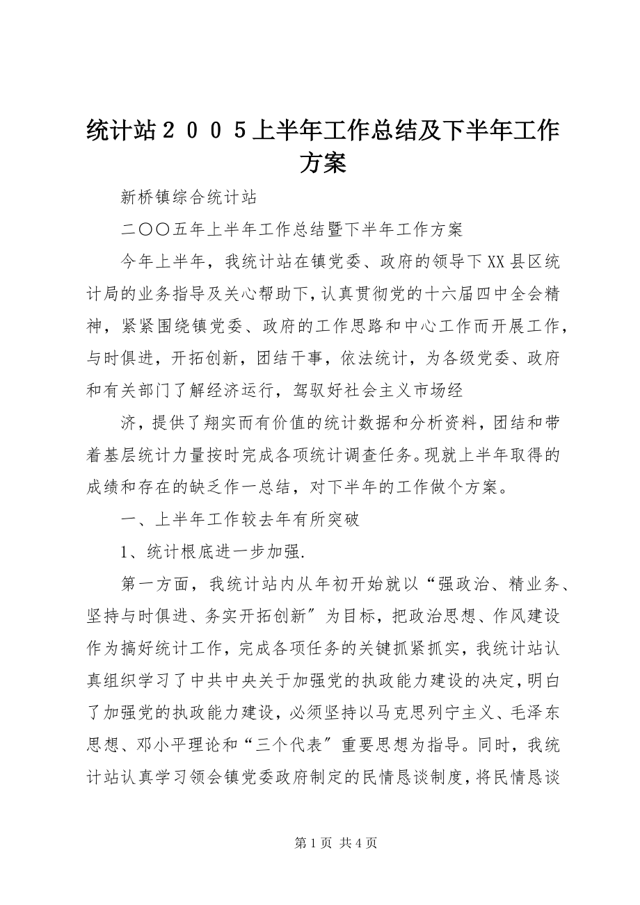 2023年统计站２００５上半年工作总结及下半年工作计划.docx_第1页