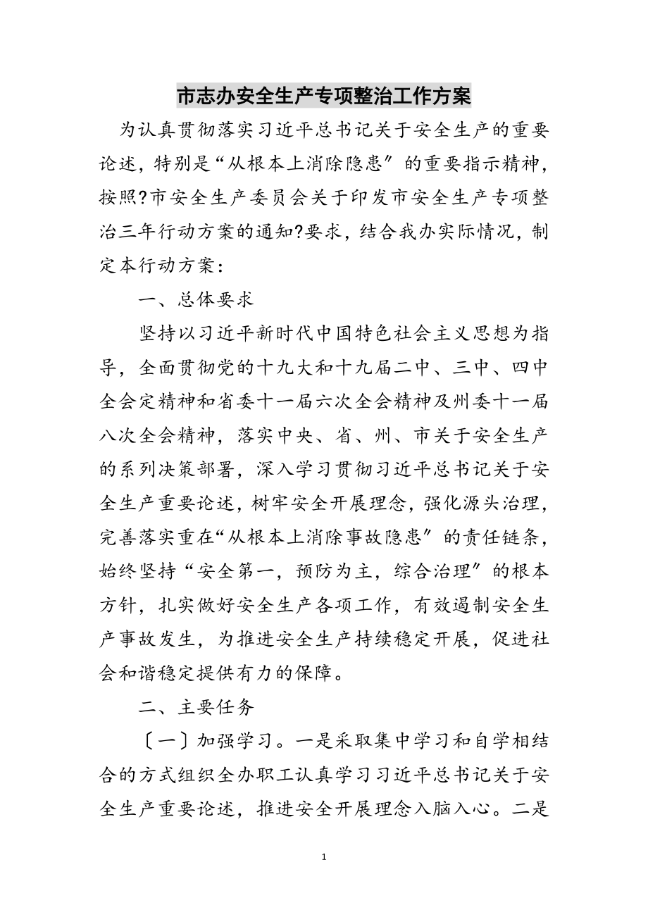 2023年市志办安全生产专项整治工作计划范文.doc_第1页