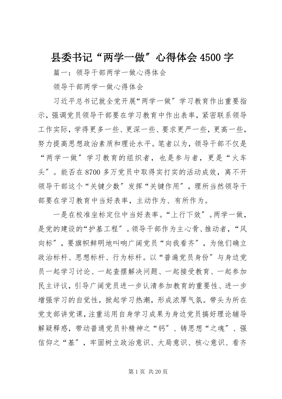 2023年县委书记“两学一做”心得体会4500字.docx_第1页