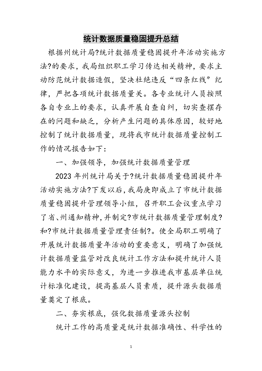 2023年统计数据质量巩固提升总结范文.doc_第1页