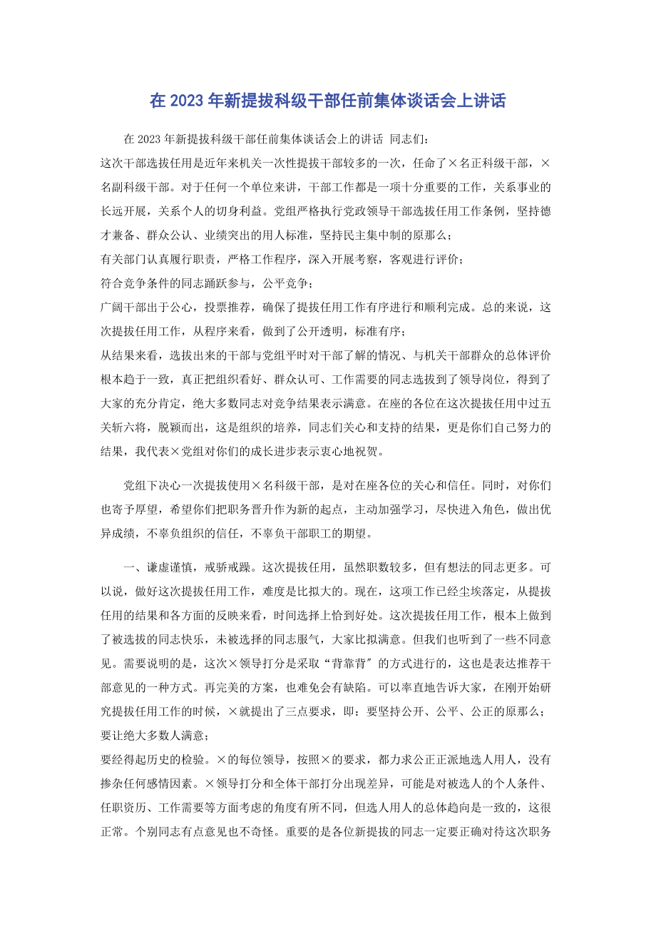 2023年在新提拔科级干部任前集体谈话会上讲话.docx_第1页