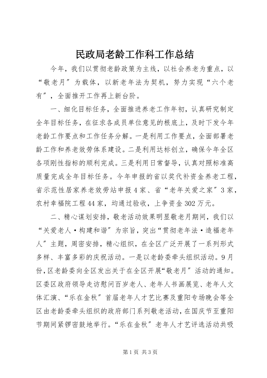 2023年民政局老龄工作科工作总结.docx_第1页