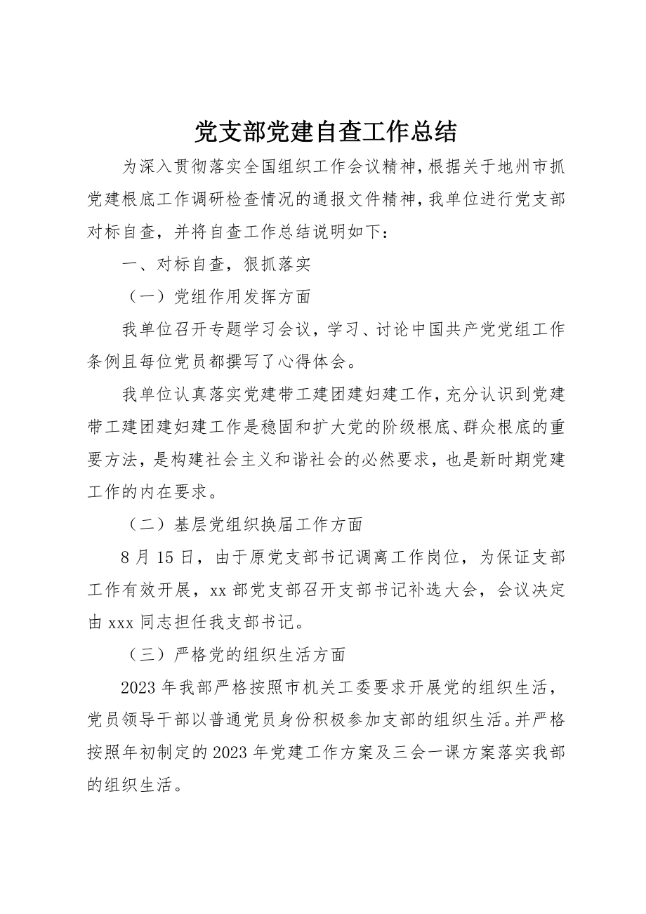 2023年党支部党建自查工作总结.docx_第1页