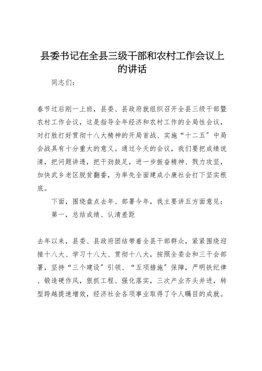 2023年县委书记在全县三级干部和农村工作会议上的致辞.doc_第1页