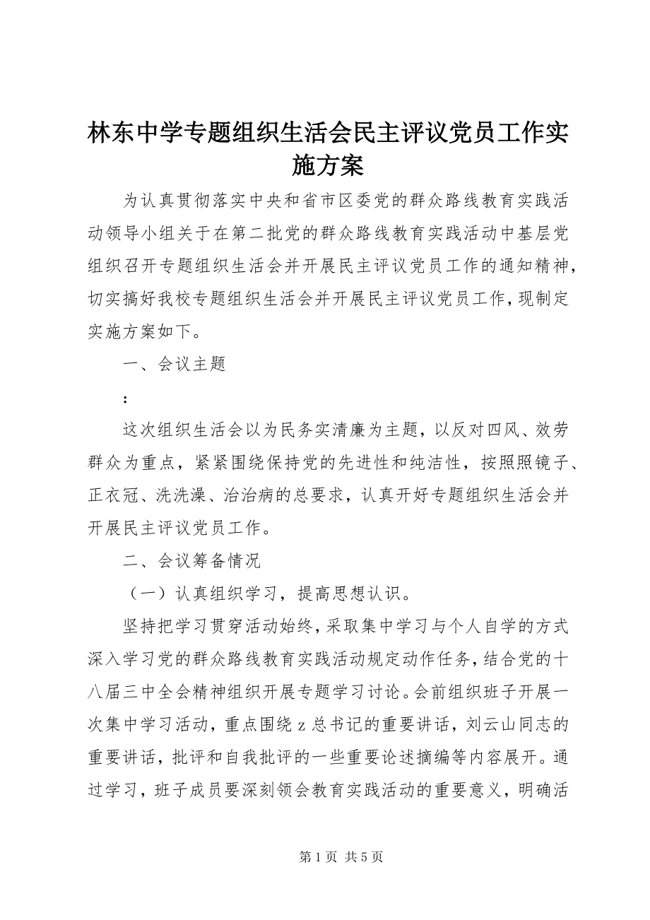 2023年林东中学专题组织生活会民主评议党员工作实施方案.docx_第1页