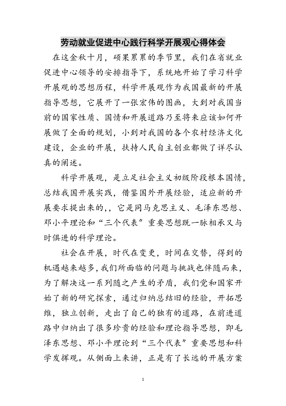 2023年劳动就业促进中心践行科学发展观心得体会范文.doc_第1页