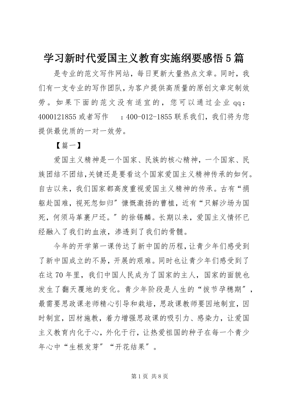 2023年学习《新时代爱国主义教育实施纲要》感悟5篇.docx_第1页