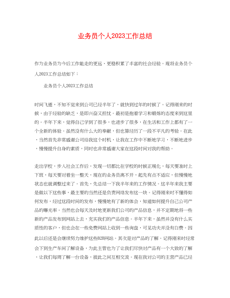 2023年业务员个人工作总结.docx_第1页