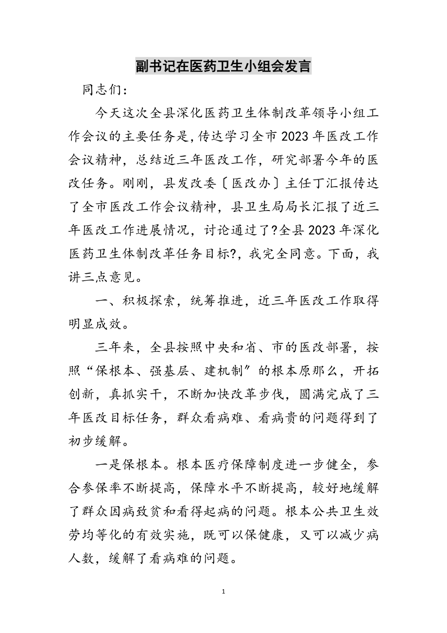 2023年副书记在医药卫生小组会发言范文.doc_第1页