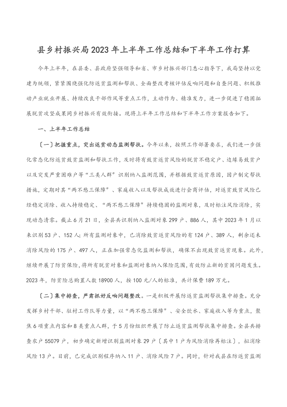 县乡村振兴局2023年上半年工作总结和下半年工作打算范文.docx_第1页