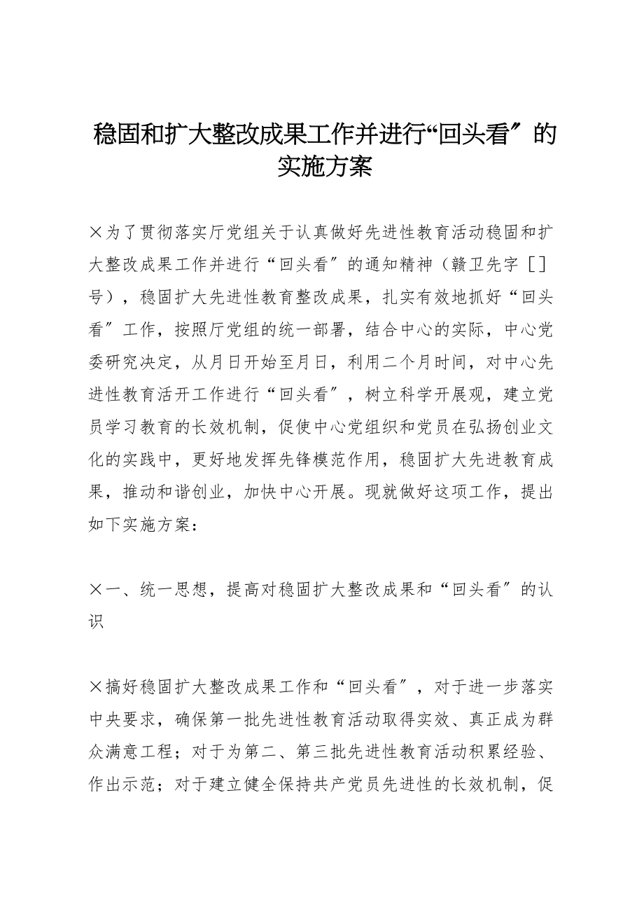 2023年巩固和扩大整改成果工作并进行回头看的实施方案 2.doc_第1页