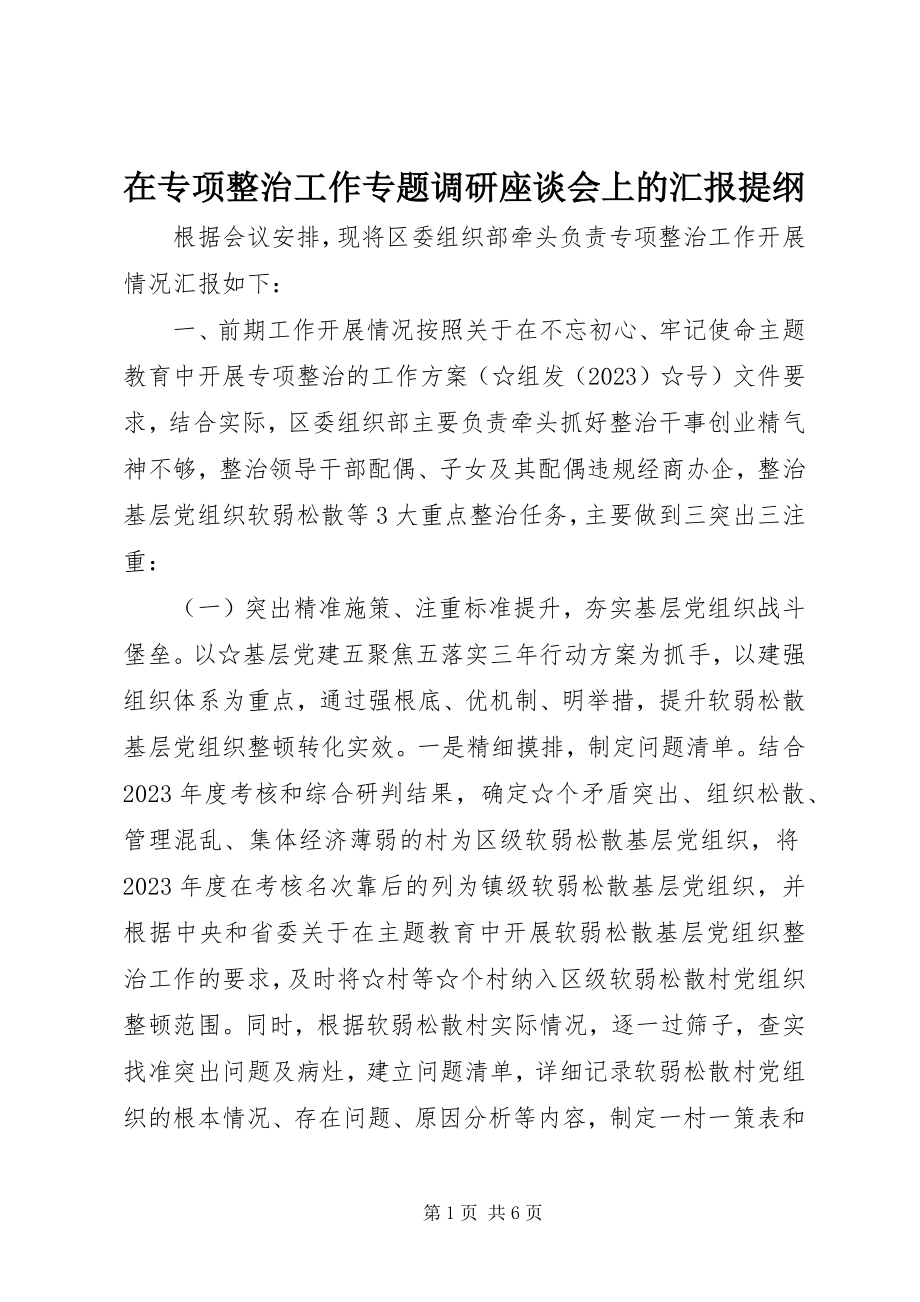 2023年在专项整治工作专题调研座谈会上的汇报提纲.docx_第1页