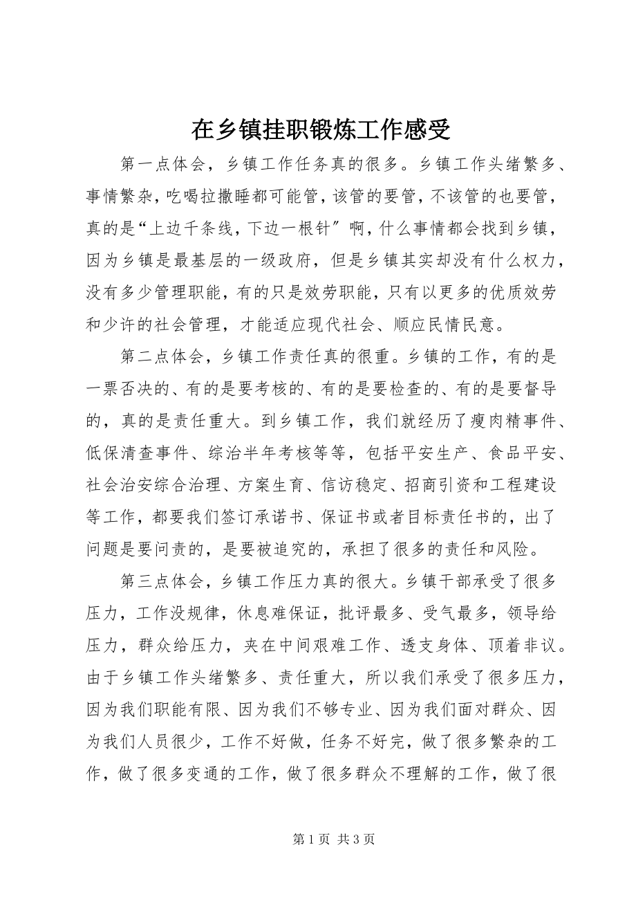 2023年在乡镇挂职锻炼工作感受.docx_第1页