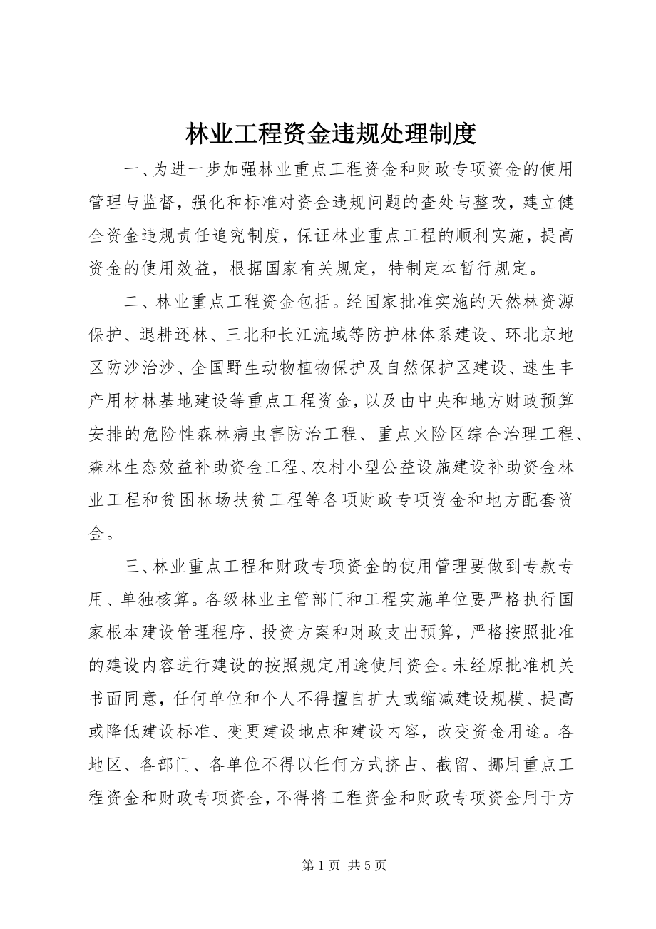 2023年林业工程资金违规处理制度.docx_第1页